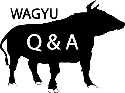 What is WAGYU Beef?