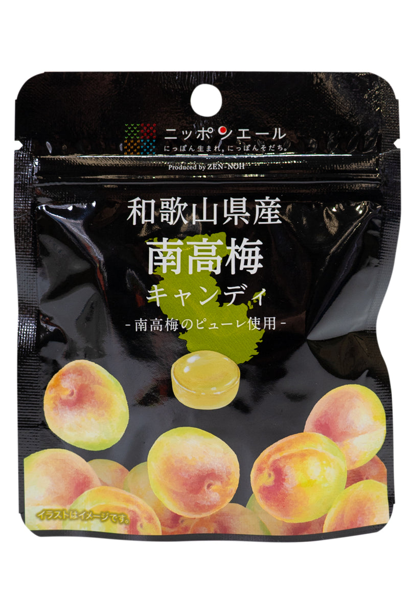 Nippon Ale Wakayama Nanko PLUM CANDY 30g