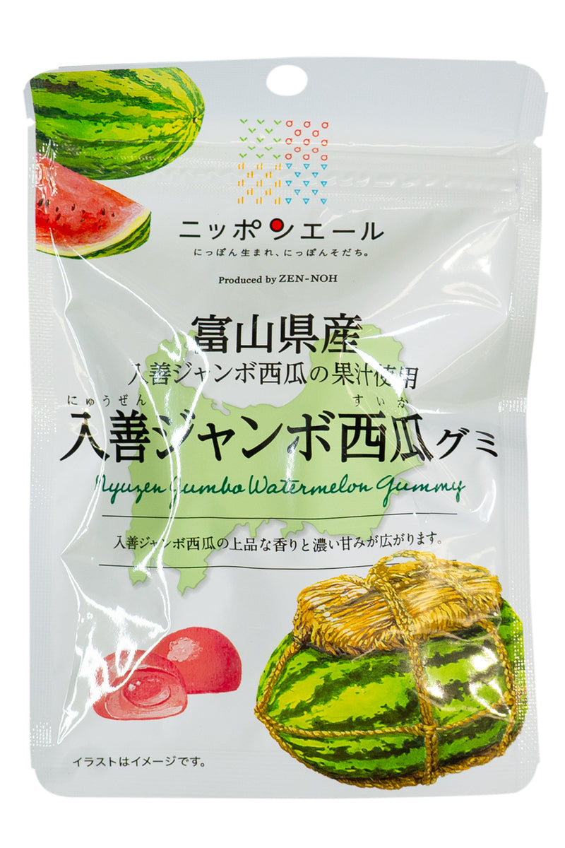 Nippon Ale Toyama Nyuzen Jumbo Watermelon Gummie 40g