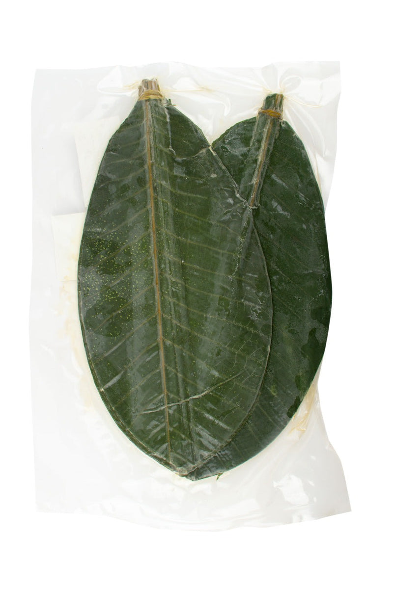 Parboiled Houba(Magnolia) Leaves for Decorations M size(32-34cm Length) 20p | PU ONLY
