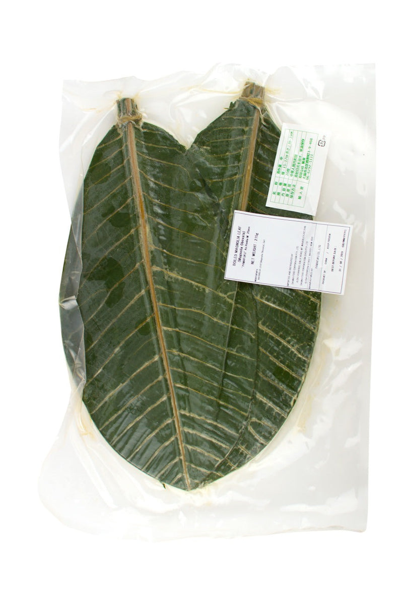 Parboiled Houba(Magnolia) Leaves for Decorations M size(32-34cm Length) 20p | PU ONLY